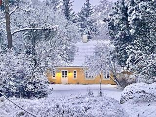 Holiday home Ålbæk VII - Ålbæk - 2