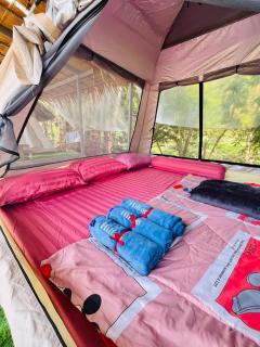 Khaosok Mysterious Restaurant and Camp ร้านลึกลับริมคลอง - Khao Sok - 9