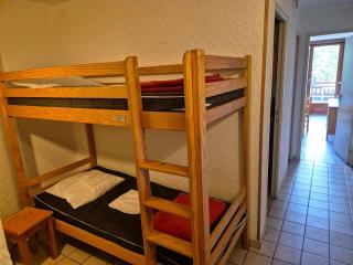 Appartement 2 pièces, balcon sud, pieds de pistes, animaux admis - FR-1-811-40 - Les Deux Alpes - 4