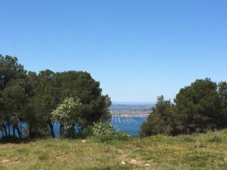 Appartement cosy 4 pers, 200m plage, animaux admis - FR-1-338-615 - Sète - 3