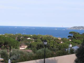 Villa 4 Pièces avec Piscine Privée, Sainte-Maxime - FR-1-780-94 - Sainte-Maxime - 9