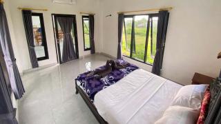 Darren Hostel - Lovina - 7