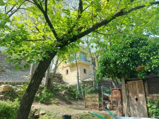 Appartement dans mas catalan, nature et calme, animaux autorisés - FR-1-776-135 - Argelès-sur-Mer - 1