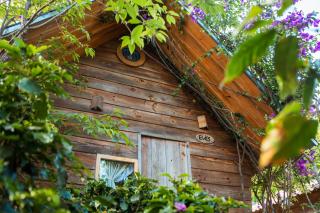 Nature-inspired Chalet - September Garden Homestay - Da Lat - 6