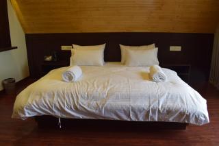 Musical Paradise - Solan - 4