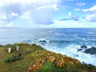 Indigo Tide, True Ocean Bluff at Sea Ranch - Sea Ranch - 9