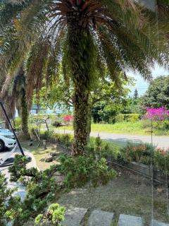宜蘭種子民宿 - Città di Yilan - 8