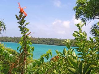 Mahina Lodge - - 9
