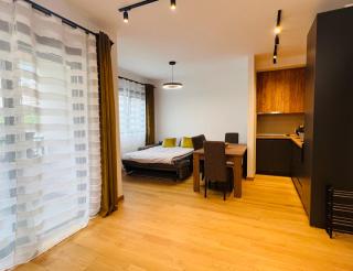 Apartment LEMON - Bečići - 9