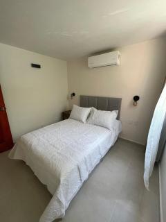 Estancia Madera, A short walk to the Maderas beach - Zihuatanejo - 9
