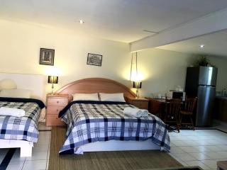 Downer Studio - Inner North, Near Chinatown, EPIC - 0