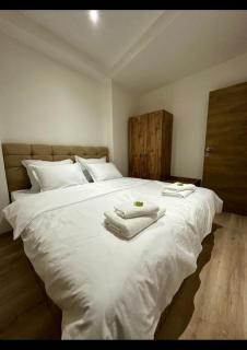 Center Apartments The Quiet Luxury 1 - Plovdiv - 8