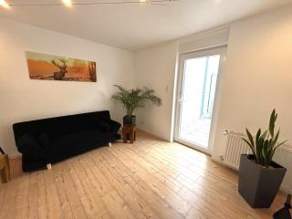 Hallgarten Rebe 11 - Oestrich-Winkel - 2