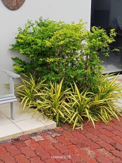 HomeStay PaKrongCheep - Ban Muang Mai - 4