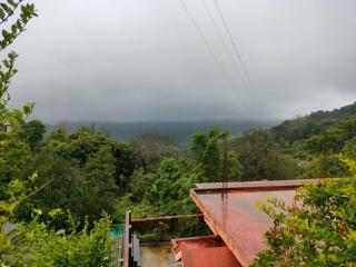 Mountain view stay - Madikeri - 7