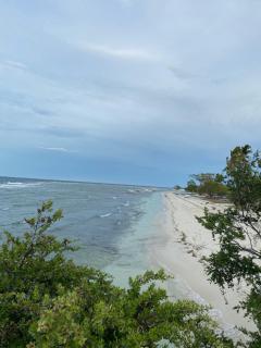Nitasnipahut Pamilacan island - Pamilacan - 2