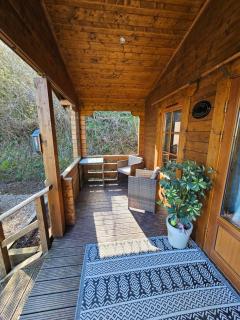Lakeside holiday lodges - Dulverton - 9