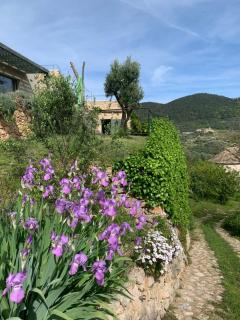 Càmamila sea view panoramic home - Finale Ligure - 5