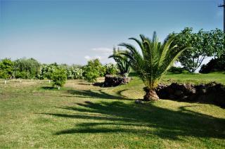 Villa Mendolito - Santa Maria di Licodia - 9