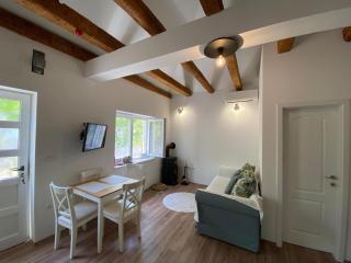 Sweet holiday house - Veli Iž - 3