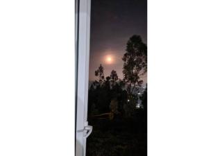 Cloud 9- Heaven on earth - Ooty - 5