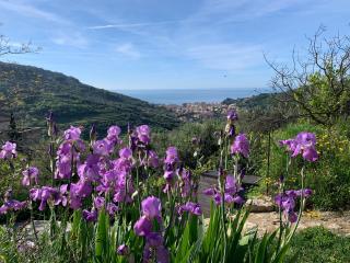 Càmamila sea view panoramic home - Finale Ligure - 4