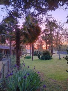 Au Moulin du Comte - en gîte - 7