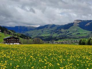 Angererhof - Jochberg - 9