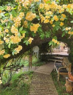 La lyalis - Aiguines - 9