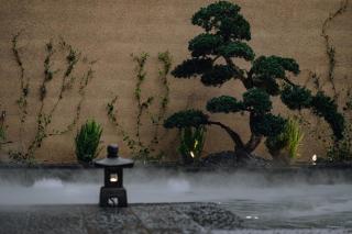 Shaxi Fengyasong Village Hotel - Diannan - 5