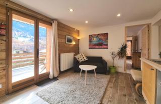 Private terrace, cosy appartement, ideal couple, bbq,relax, welcome, near La Clusaz, Grand Bornand, Annecy and lake, many sports and entertainment activities summer and winter - Les Villards-sur-Thônes - 6