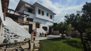 Orange Garden - Kala Nera - 7