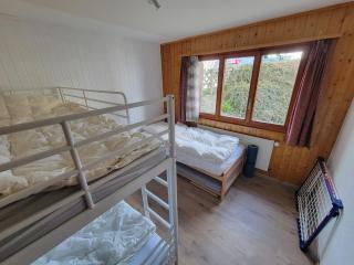 Vacances à la montagne - Veysonnaz - 9