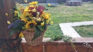 PRIDVOR de STOENESTI - 3