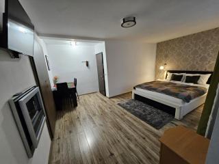 Apartment Queen Bridge - Sibiu - 9