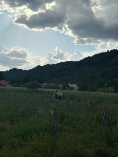 PRIDVOR de STOENESTI - - 8