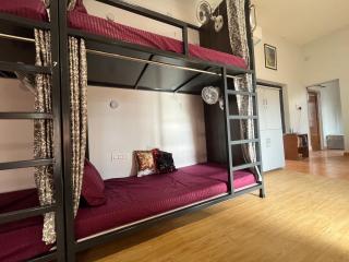 Green Backpacker's Hostel and Homestay - Amritsar - 6