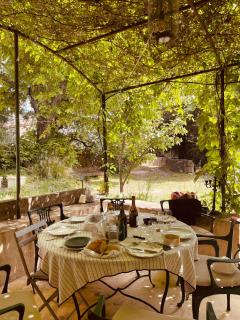 Mas provençal, entre vignes et oliviers - Lambesc - 9