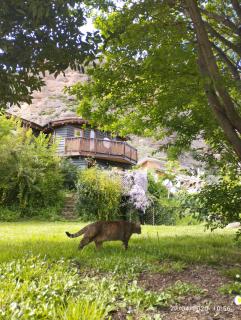 La casa verde - Islallana - 9