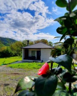 Guest house "Soulmate" - Ambrolauri - 0