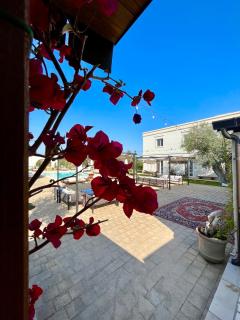 Li Canali Reali - Mesagne - 3