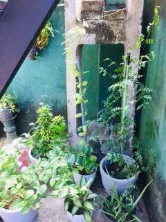 Ranga's House - Weligama - 4