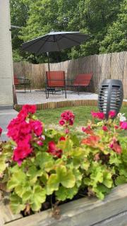 I Tre Taglincchi, U Terzu - Proche mer, Clim, Wifi, Parking gratuit - Taglio-Isolaccio - 5