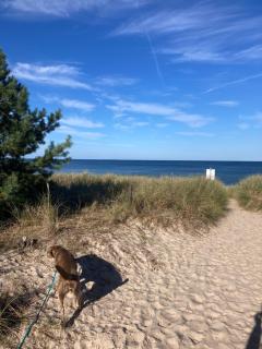 Düne 9 mit Hund - nur 80 m vom Strand - Ostseebad Karlshagen - 0