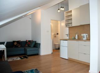 Cozy Apartment Penthouse Praga Kamionek - Varsovie - 0