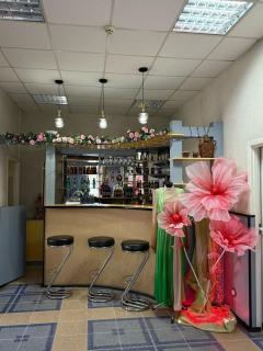 Hotel Anastasia - Rezina - 6