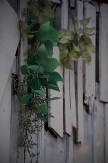 竹の荘 - 1