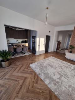 Daric Residence Penthouse Apartament - Fălticeni - 7