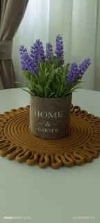 Aliana IBO studio - 4