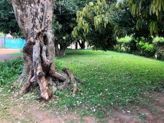 Wander Inn Apartments - Livingstone - 9